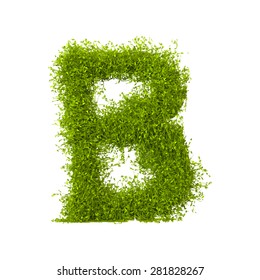 Decorative nature vector letter B