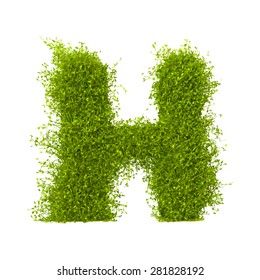 Decorative nature vector letter H
