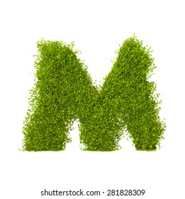 Decorative nature vector letter M