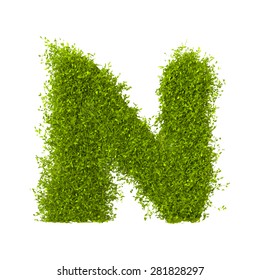 Decorative nature vector letter N