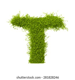 Decorative nature vector letter T