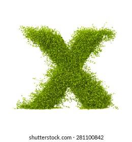 Decorative nature vector letter X