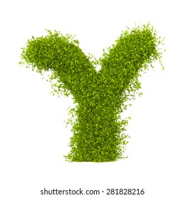 Decorative nature vector letter Y