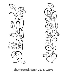 decorative oblong design with floral elements and vignettes. graphic decor, bordure