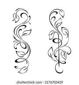 decorative oblong design with floral elements and vignettes. graphic decor, bordure
