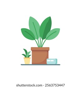 Decorative Office Plant for Aesthetics