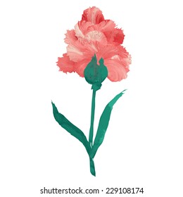 Decorative oil painted flower, design element. Can be used for wedding, baby shower, mothers day, valentines day cards, invitations. Painted flower