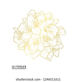 Decorative oleander flowers, design elements. Can be used for cards, invitations, banners, posters, print design. Golden flowers