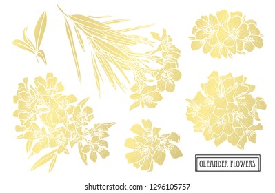 Decorative oleander flowers, design elements. Can be used for cards, invitations, banners, posters, print design. Golden flowers