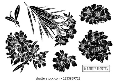 Decorative oleander  flowers set, design elements. Can be used for cards, invitations, banners, posters, print design. Floral background in line art style