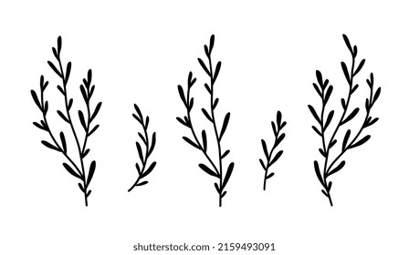 decorative olive laurel branches set with leaves