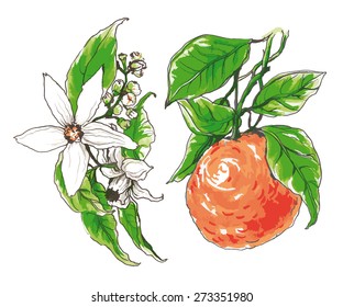 Decorative Orange Flower Blossom