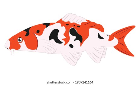 Decorative orange japanese fish koi carp illustration.
