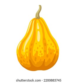 Decorative Orange Squash Seasonal Vegetable. Pumpkin, Gourd Vegetable For Halloween, Thanksgiving. Vector Hand Drawn Isolated Illustration.