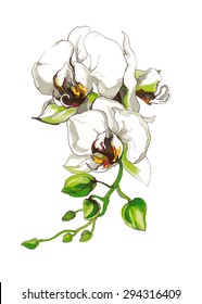 Decorative Orchid flower branch