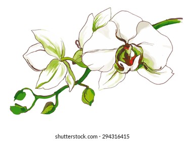 Decorative Orchid flower branch