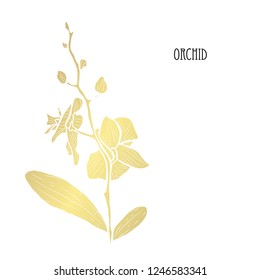 Decorative orchid flower, design element. Can be used for cards, invitations, banners, posters, print design. Golden flowers