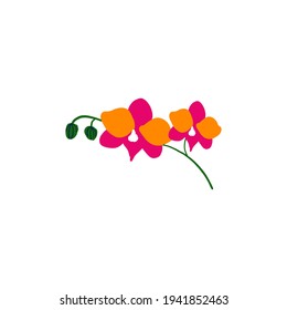 Decorative Orchid flower vector , cartoon flat illustration, exotic plant, natural elements, colorful sign isolated on white for design cosmetic, organic shop, wedding invitation, greeting card
