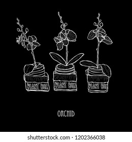 Decorative orchid flowers, design elements. Can be used for cards, invitations, banners, posters, print design. Floral background in line art style