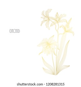 Decorative orchid  flowers, design elements. Can be used for cards, invitations, banners, posters, print design. Golden flowers