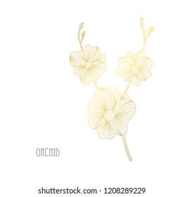Decorative orchid  flowers, design elements. Can be used for cards, invitations, banners, posters, print design. Golden flowers