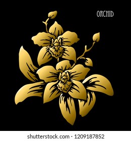 Decorative orchid flowers, design elements. Can be used for cards, invitations, banners, posters, print design. Golden flowers