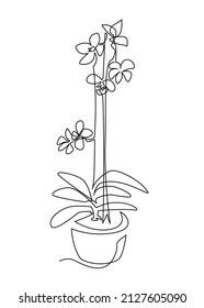 Decorative orchid growing in pot continuous line vector illustration. Simple hand drawn sketch