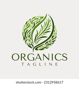 Vector de diseño del logo de la hoja orgánica decorativa. Logo de la hoja de té verde vintage.