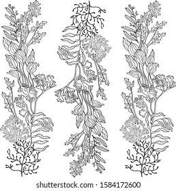 decorative ornament from algae color