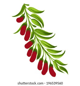 decorative ornament branch with red berries