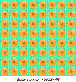 Decorative ornament for fabric, textile, wrapping paper. Floral wallpaper on a green background. Traditional oriental seamless paisley pattern. Vector striped seamless pattern with cosmos flowers.