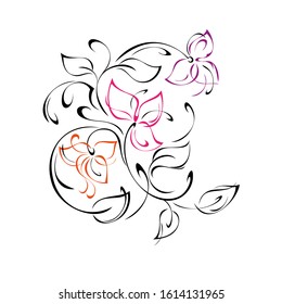 decorative ornament with stylized flowers, leaves and curls in colored lines on a white background