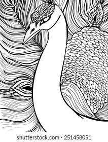 Decorative ornamental peacock