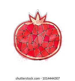 Decorative ornamental pomegranate fruit isolated on white.