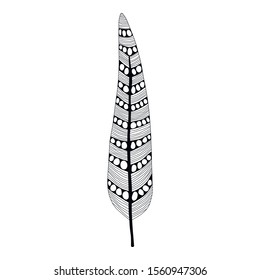 Decorative, ornate bird feather. Black and white outline illustration for coloring book or page.