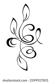 decorative ornate element with stylized leaves and curls; graphic design