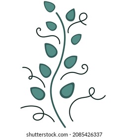 Decorative ornate twig. Herbal vector flat pattern with green leaves. Decoration close-up.Transparent background. Botanical illustration for print, design.