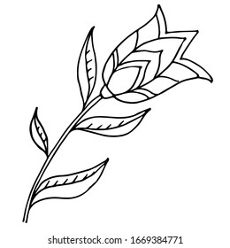 Dekorative Blume. Vektorillustration handgezeichnet. Für Design und Dekoration. Farbbuch