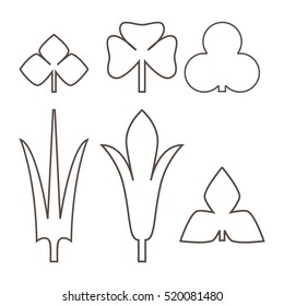 Decorative outline leaves pattern set isolated on white vector. Various shapes of green leaves. Elements for eco and bio logos