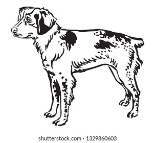 Decorative outline monochrome portrait of standing in profile Brittany Dog, vector isolated illustration in black color on white background