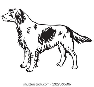 Decorative outline monochrome portrait of standing in profile Small Munsterlander Dog, vector isolated illustration in black color on white background