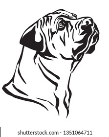 Decorative outline portrait of Boerboel Dog looking in profile, vector illustration in black color isolated on white background. Image for design and tattoo. 