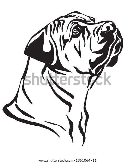 Decorative Outline Portrait Boerboel Dog Looking Stock Vector (Royalty