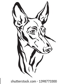 Decorative outline portrait of Cirneco dell' Etna Dog looking in profile, vector illustration in black color isolated on white background. Image for design and tattoo. 