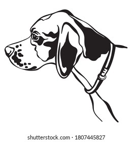 Decorative outline portrait of cute pointer dog vector illustration in black color isolated on white background. Isolated image for design and tattoo.