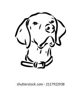 Dekoratives Rahmenporträt süßer Zeiger-Hund-Vektorgrafik in schwarzer Farbe einzeln auf weißem Hintergrund. Einzelbild für Design und Tattoo.