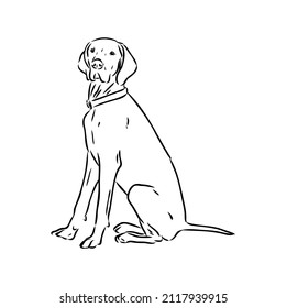 Decorative outline portrait of cute pointer dog vector illustration in black color isolated on white background. Isolated image for design and tattoo.