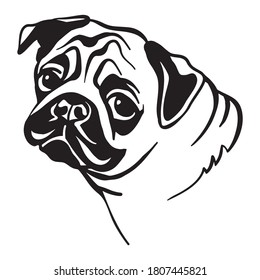 Decorative outline portrait of cute pug dog vector illustration in black color isolated on white background. Isolated image for design and tattoo.