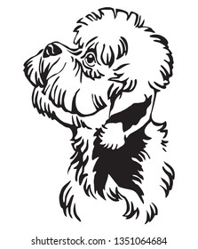 Decorative outline portrait of Dandie Dinmont Terrier Dog looking in profile, vector illustration in black color isolated on white background. Image for design and tattoo. 