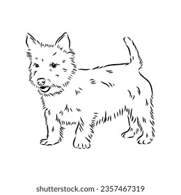 Decorative outline portrait of Dog Australian Terrier, vector